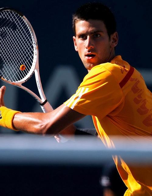 不可忽视的 不可忽视的